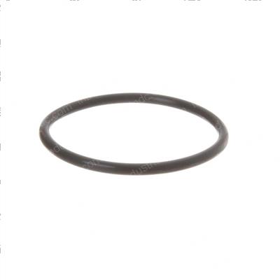 Picture of O-Ring
