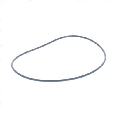 Picture of O-Ring - Converter