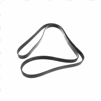 Picture of Fan Belt