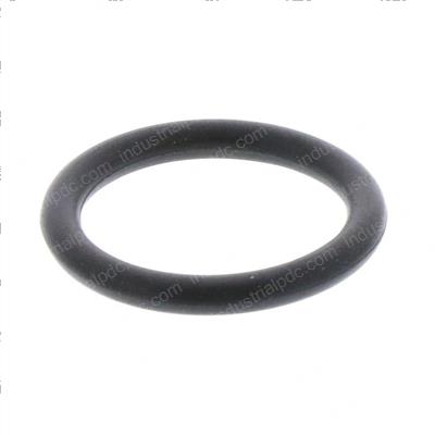 Picture of O-Ring