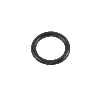 Picture of O-Ring