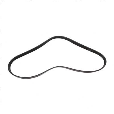 Picture of Belt - Serpentine