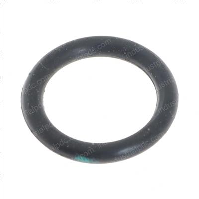 Picture of O-Ring