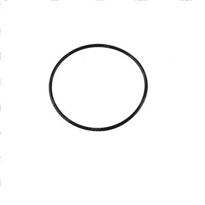 Picture of O-Ring