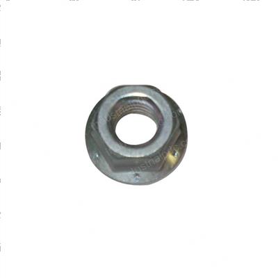 Picture of Nut Flange
