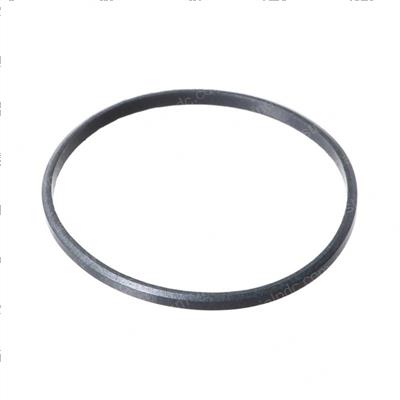 Picture of Piston Ring - Main Pump