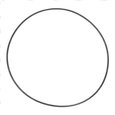 Picture of O-Ring