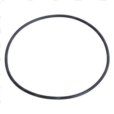 Picture of O-Ring