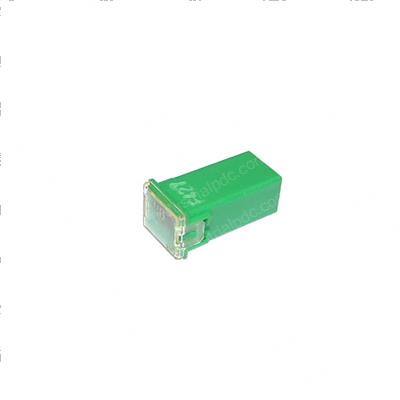 Picture of Fuse 40a