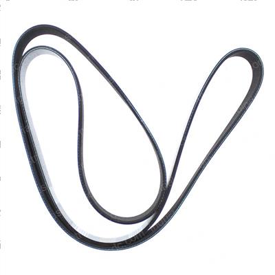 Picture of Belt