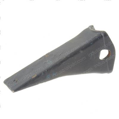 Picture of Tooth
