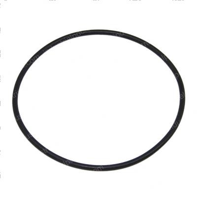 Picture of Seal