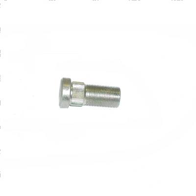 Picture of Bolt