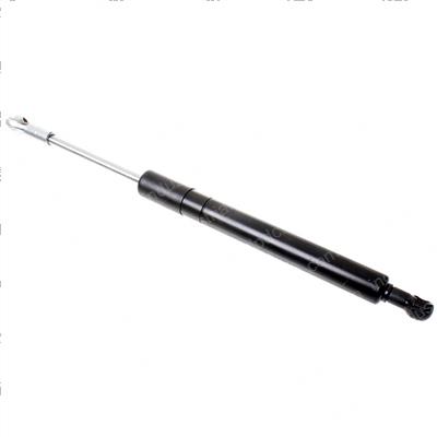 Picture of Spring - Gas