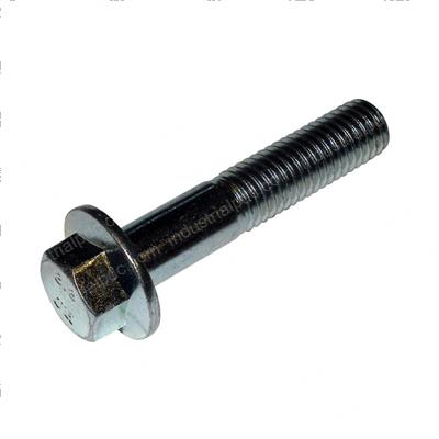 Picture of Screw - Cap