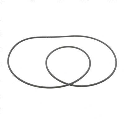 Picture of O-Ring