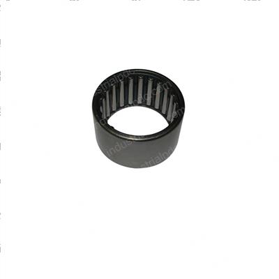 Picture of Bearing - Needle