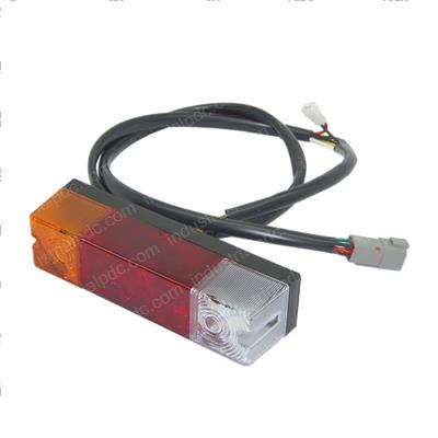 Picture of Light - Rear Combo
