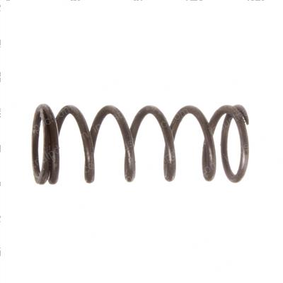 Picture of Spring - Cylinder