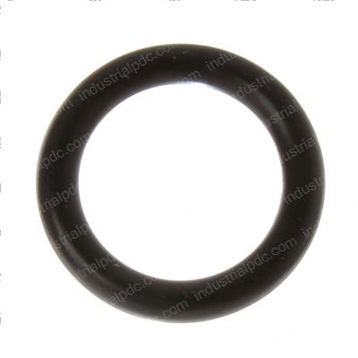 Picture of O-Ring
