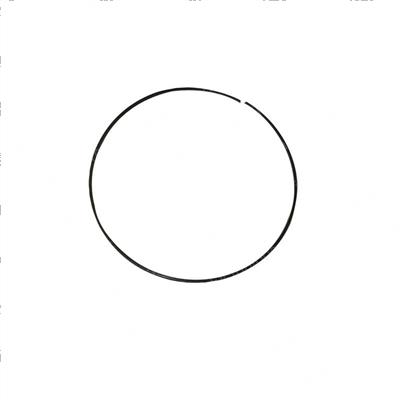 Picture of Ring - Inner