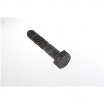 Picture of Bolt