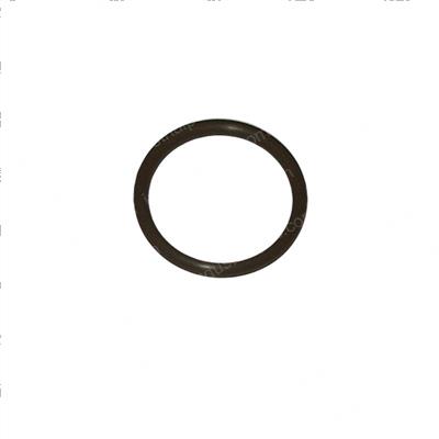 Picture of O-Ring