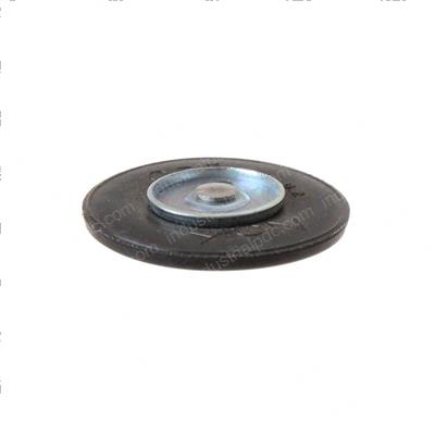 Picture of Diaphragm Ay