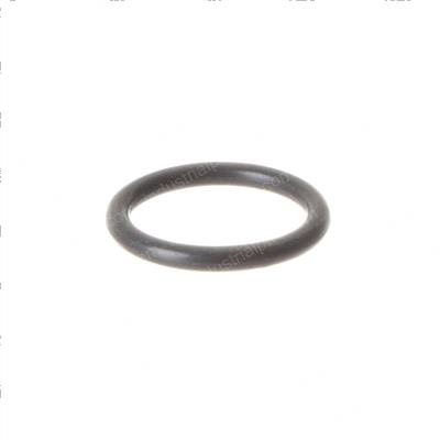 Picture of O-Ring