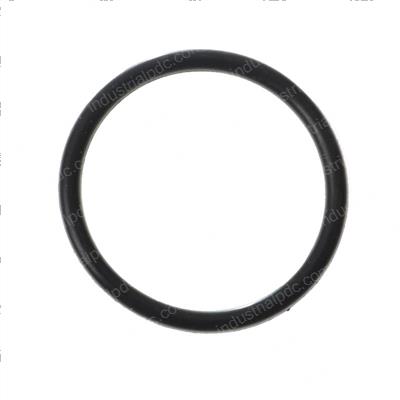 Picture of O-Ring