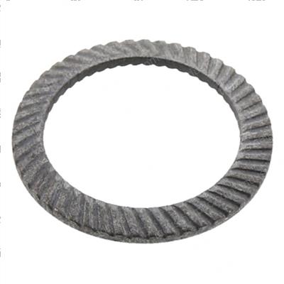 Picture of Washer- D12