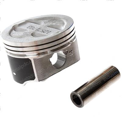 Picture of Piston Kit