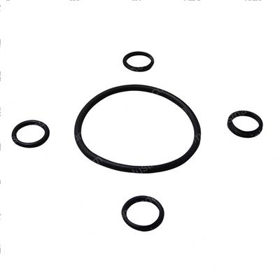 Picture of Seal Kit - Hydraulic Cylinder