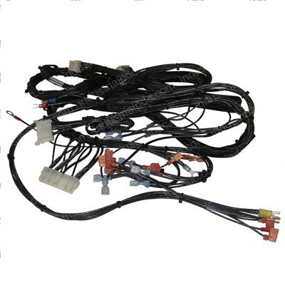Picture of Main Harness