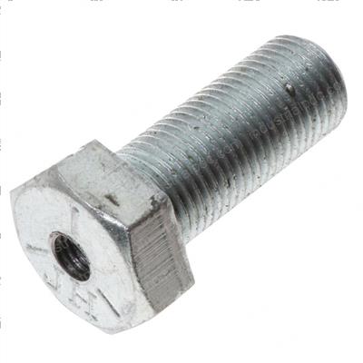 Picture of Special Bolt