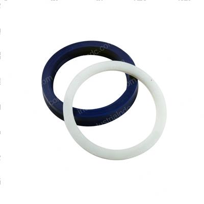 Picture of Seal - Ucup