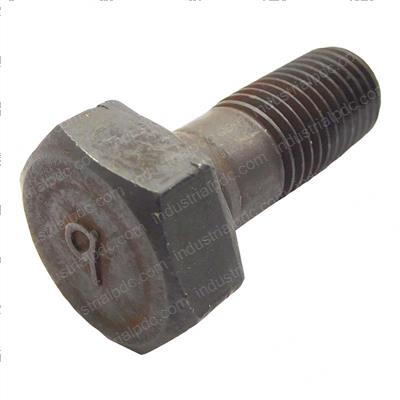 Picture of Bolt