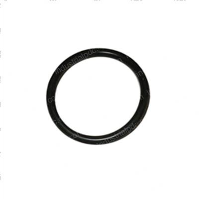 Picture of O-Ring