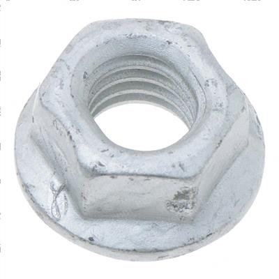 Picture of Nut