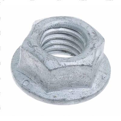 Picture of Nut