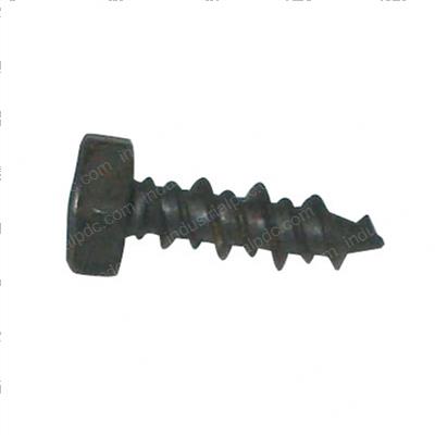 Picture of Screw