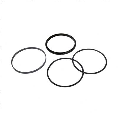 Picture of Seal -  Capped Piston T