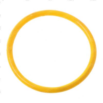 Picture of O-Ring