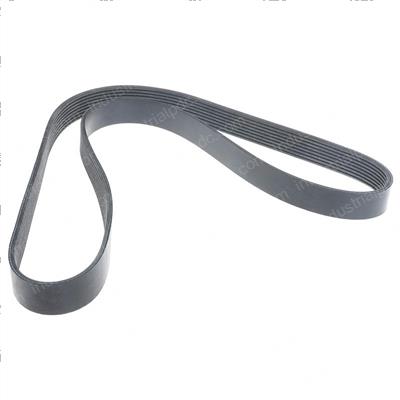 Picture of Belt - Serpentine