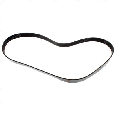 Picture of Belt - Serpentine