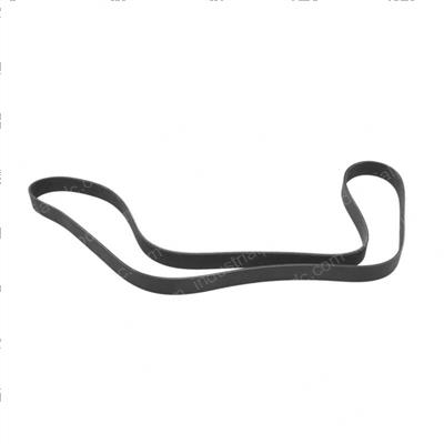 Picture of Belt - Sepentine