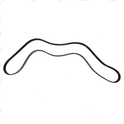 Picture of Belt - Serpentine