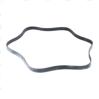 Picture of Belt - Serpentine