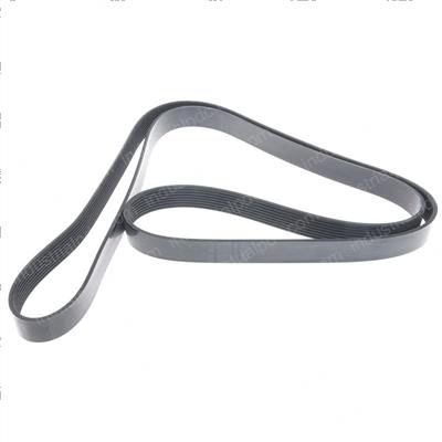 Picture of Belt - Serpentine