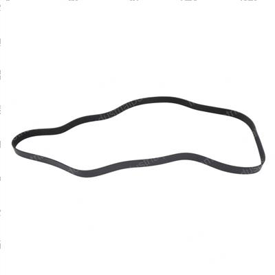 Picture of Belt - Serpentine